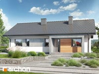 Dům mezi břečťanem 4