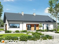 Dům uprostřed bazalky 2