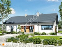 Dům uprostřed bazalky 2